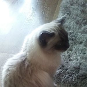 Meet your Posher, Roberta